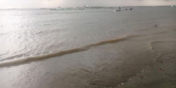 মেঘনায় মরা মাছ ও জলজ প্রাণীর পরিমাণ কমেছে, তদন্তে পাওয়া গেছে ‘পানি দূষিত’